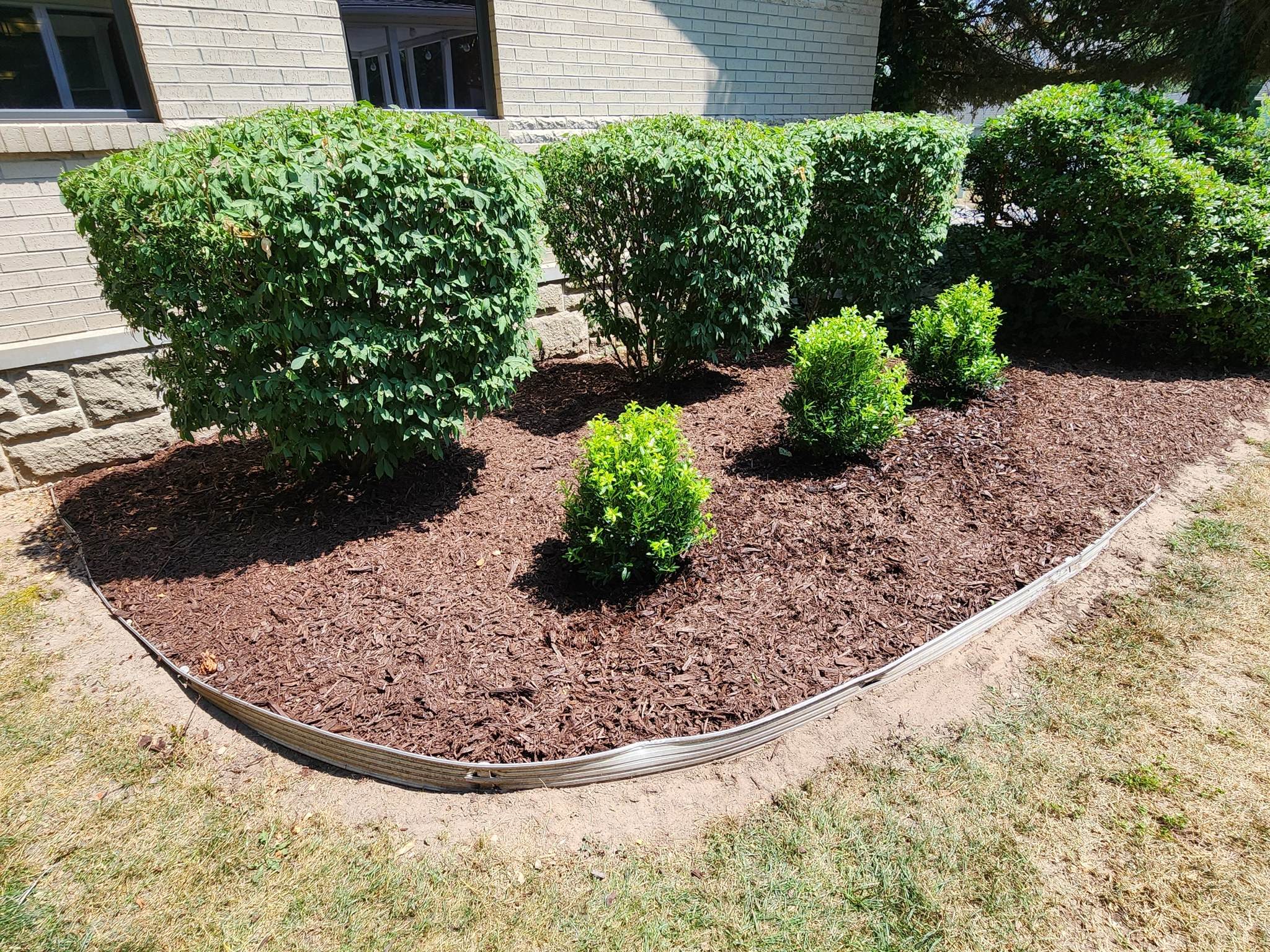 Professional landscaping work